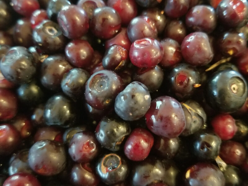 Huckleberries