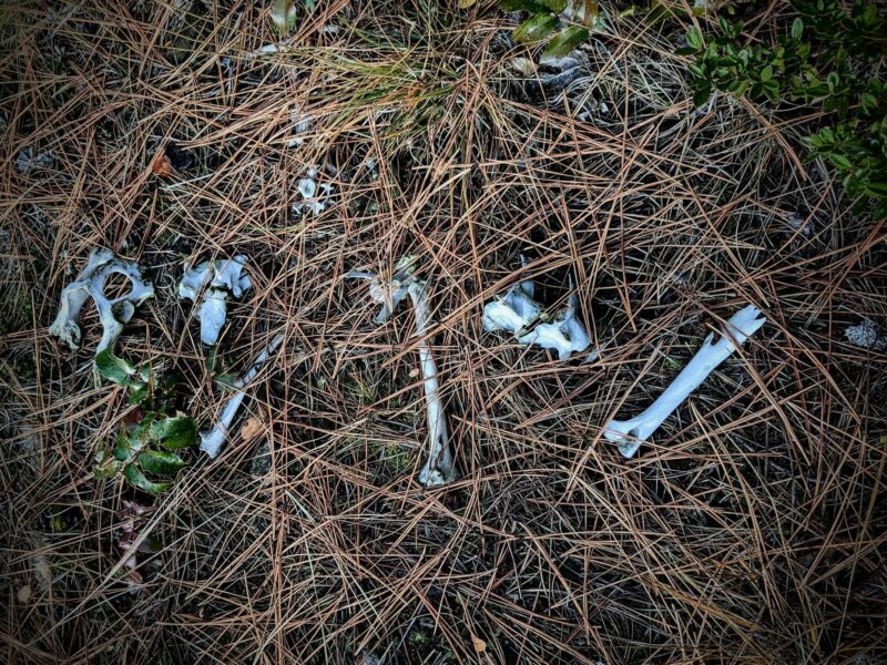 573492836_847170444732431_4355148121930198220_n